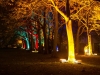 licht_kunst_park_2.14