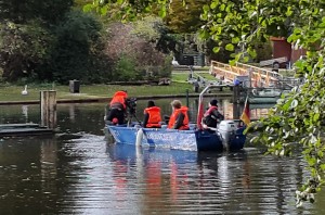 Dîe Alsterschwäne werden von "Schwanenvater Nieß" in ihr Winterquartier im Eppendorfer Mühlenteich gebracht.