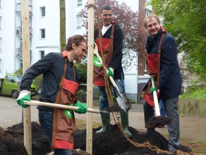 Albin Ekdal, Nabil Bahoui und Jens Kerstan pflanzen einen Baum