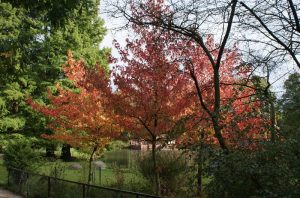 Tierpark Hagenbeck