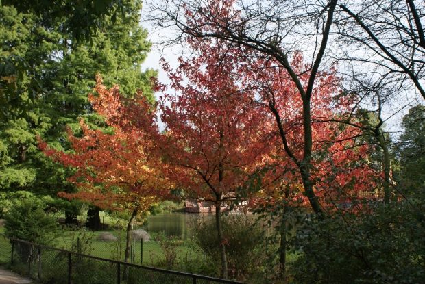 Tierpark Hagenbeck