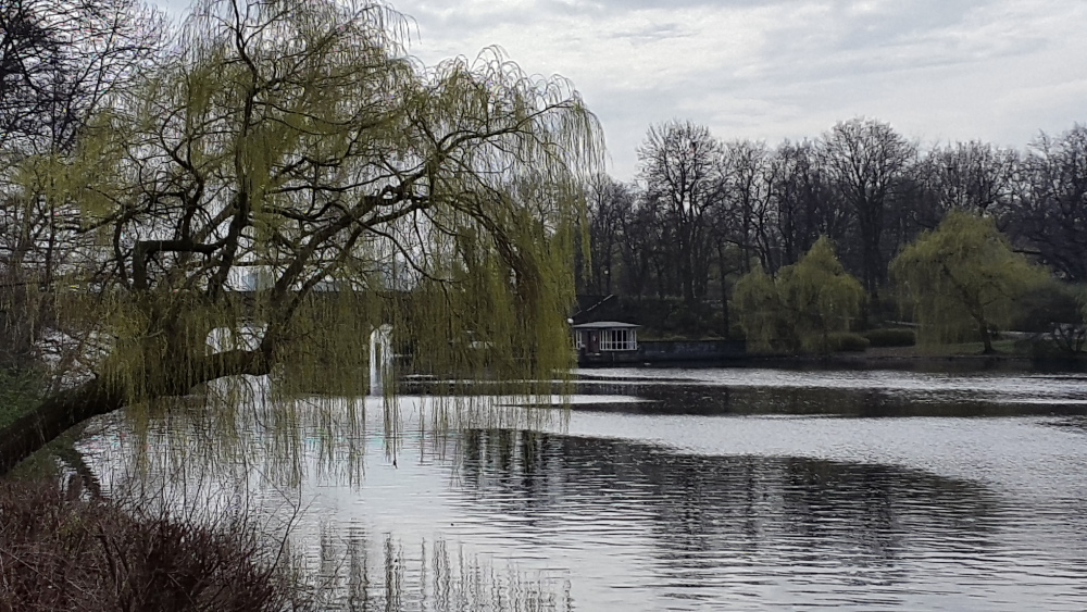 Alster