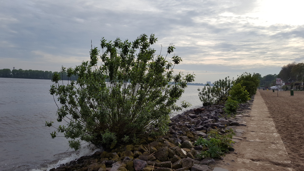 Elbstrand Övelgönne