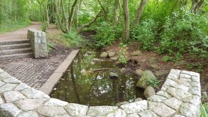 Alsterquelle im Naturschutzgebiet Oberalsterniederung