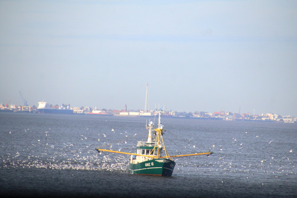 Helgoland