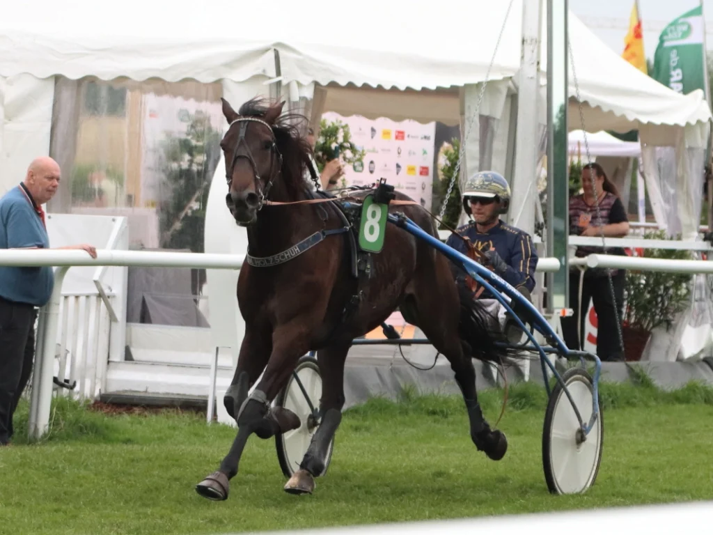 Trabrennen auf der Galopp Rennbahn in Hamburg Horn